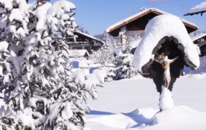 Winter in der Alpenwelt Karwendel